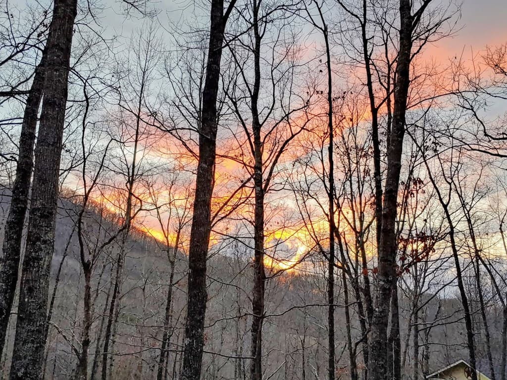 119 Laurel Branch Drive, Hayesville NC 28904 - Photo