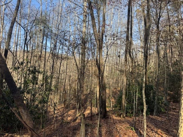 68 Acres Ponderosa Road, Rabun Gap GA 30568 - Photo