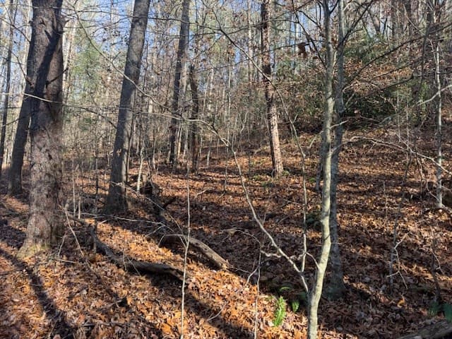 68 Acres Ponderosa Road, Rabun Gap GA 30568 - Photo