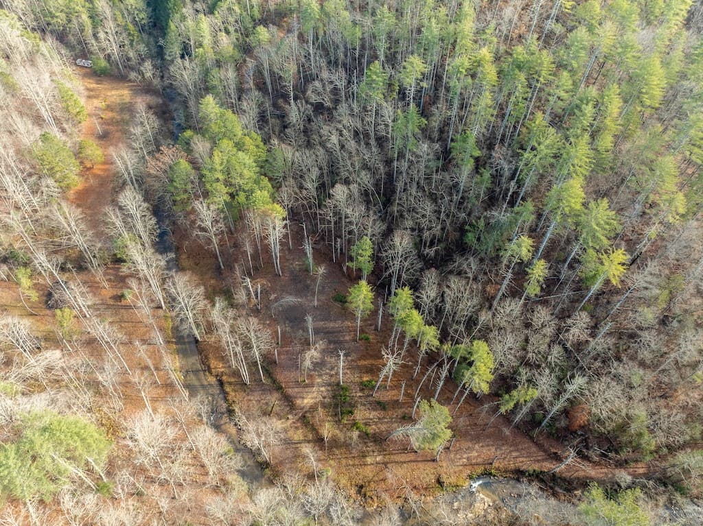 894 Hap Holt Road, Ellijay GA 30540 - Photo