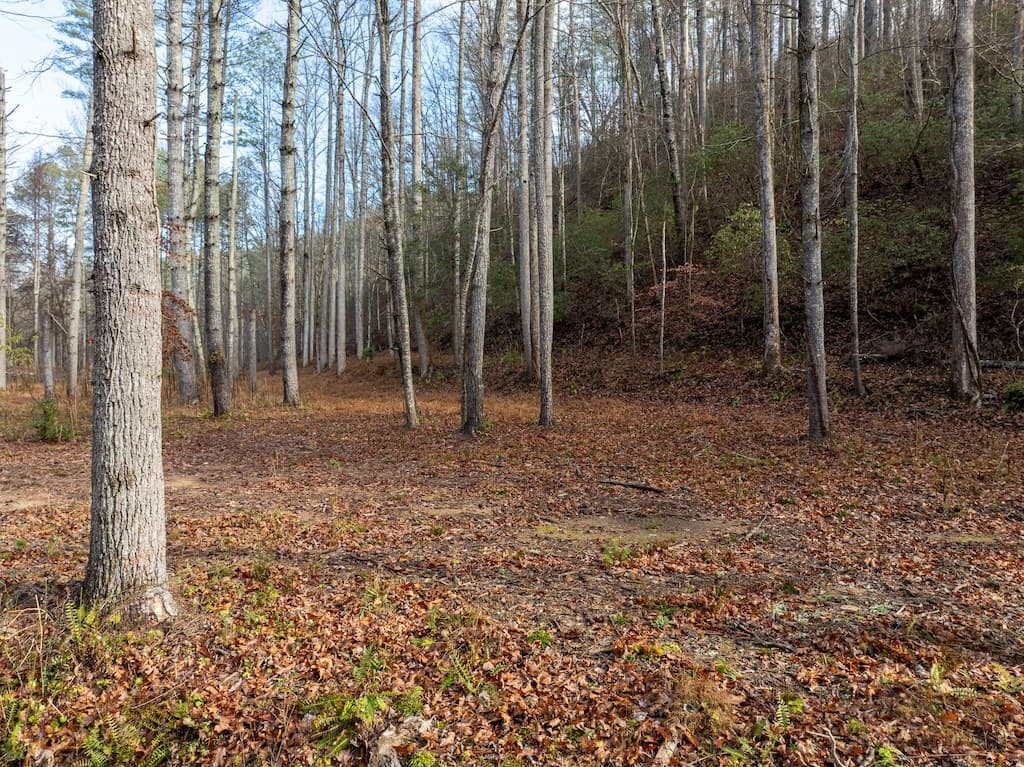 894 Hap Holt Road, Ellijay GA 30540 - Photo