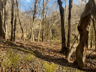 LT 2486 Novena Court, Ellijay GA 30540 - Photo