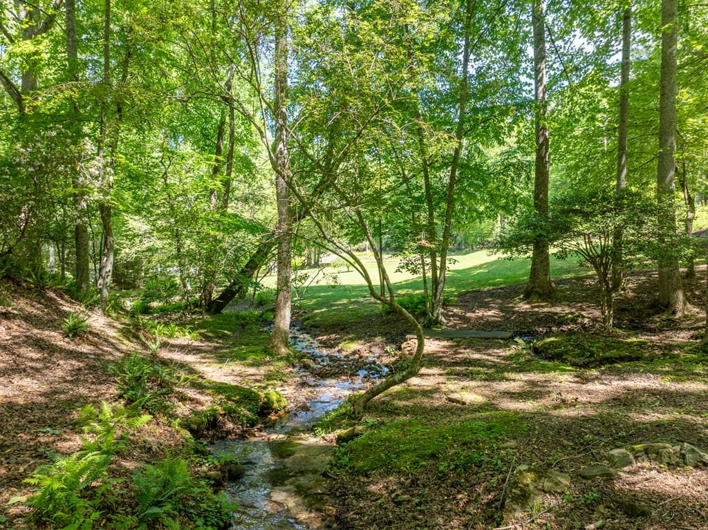 724 Fish Cove Road, Blairsville GA 30512 - Photo