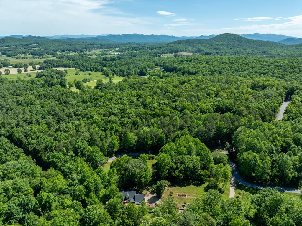 724 Fish Cove Road, Blairsville GA 30512 - Photo