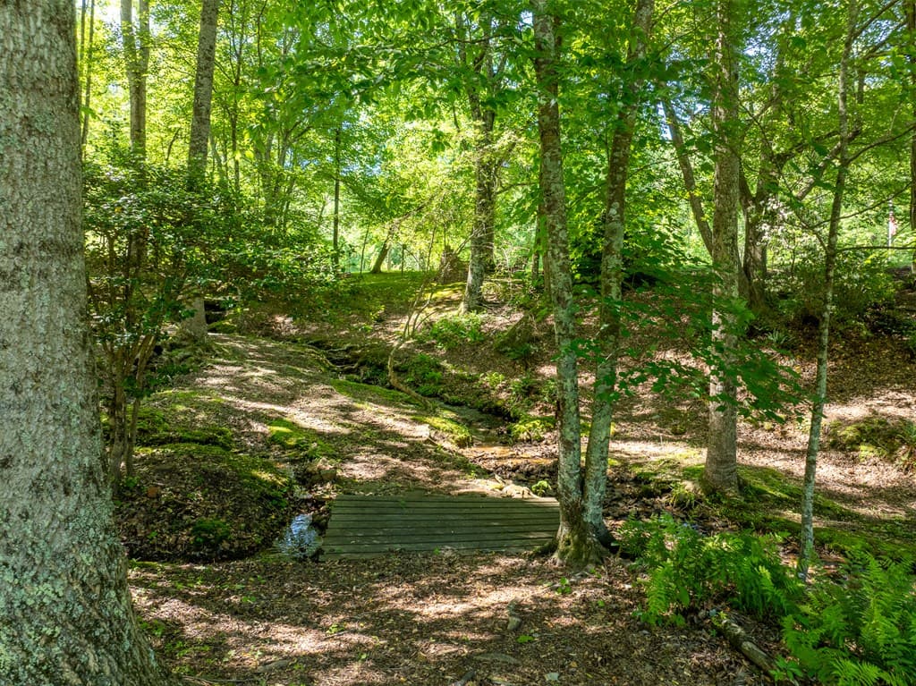 724 Fish Cove Road, Blairsville GA 30512 - Photo