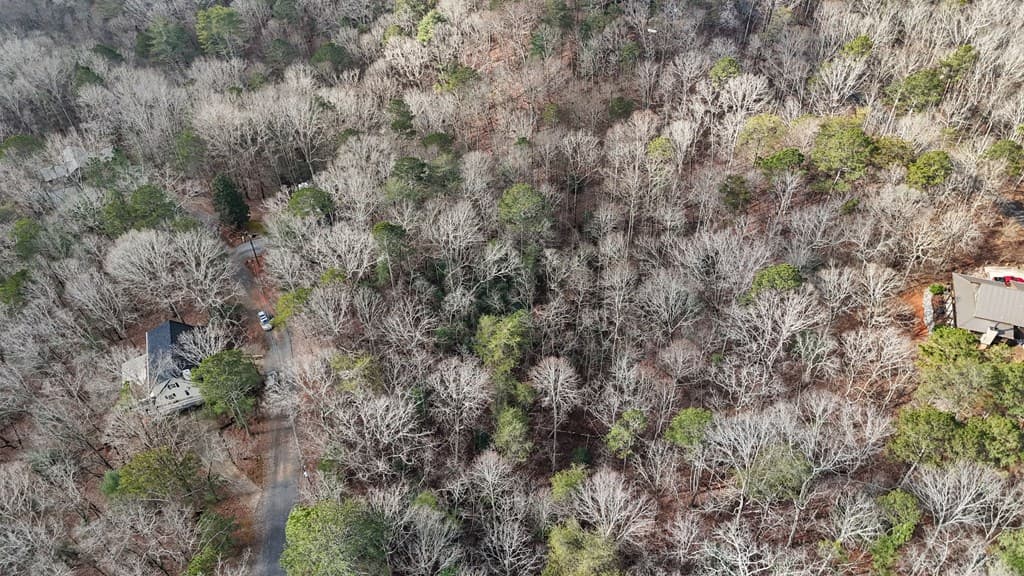 0 Omen Court, Ellijay GA 30540 - Photo