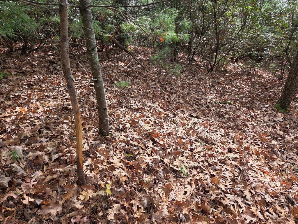 Lot 10 Wildcat Creek, Suches GA 30572 - Photo