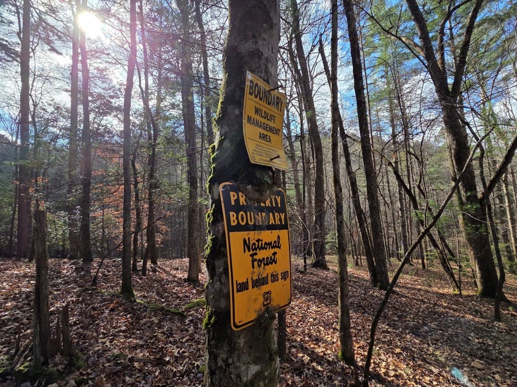 Lot 10 Wildcat Creek, Suches GA 30572 - Photo