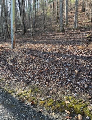 26 Soapstone Creek Circle, Hiawassee GA 30546 - Photo