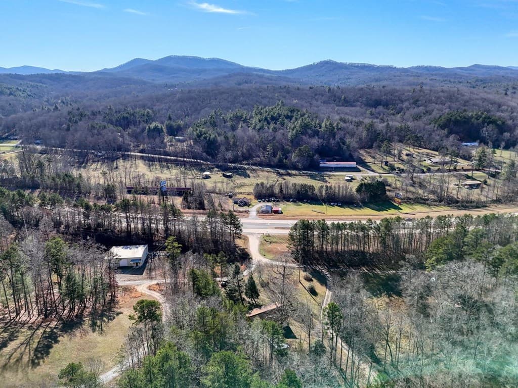 17 Turning Lay Creek Road, Morganton GA 30560 - Photo