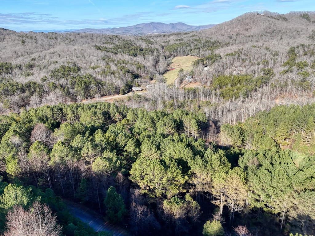 Lot 14 Pinehurst, Blairsville GA 30512 - Photo