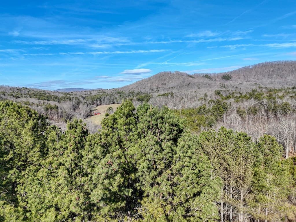Lot 14 Pinehurst, Blairsville GA 30512 - Photo