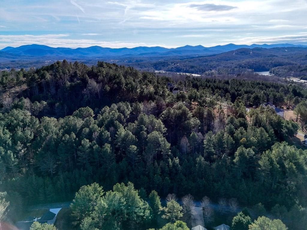 Lot 14 Pinehurst, Blairsville GA 30512 - Photo