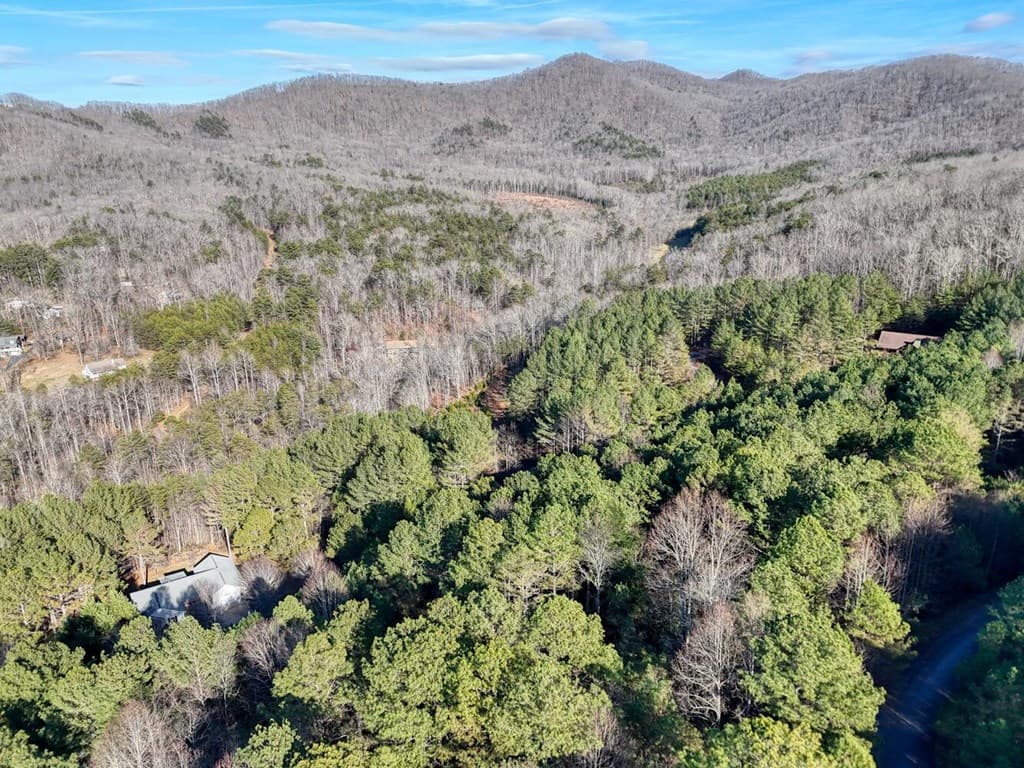 Lot 14 Pinehurst, Blairsville GA 30512 - Photo