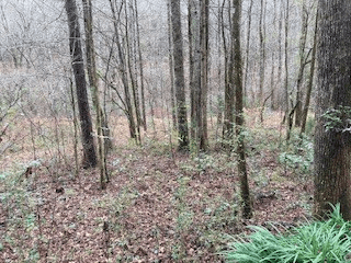 Lot 52 Llama Lane, Ellijay GA 30540 - Photo