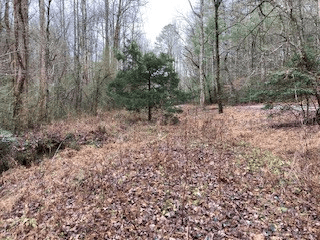 53 Llama Lane, Ellijay GA 30540 - Photo
