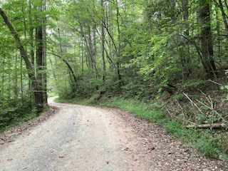 53 Llama Lane, Ellijay GA 30540 - Photo
