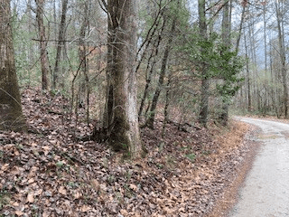 53 Llama Lane, Ellijay GA 30540 - Photo