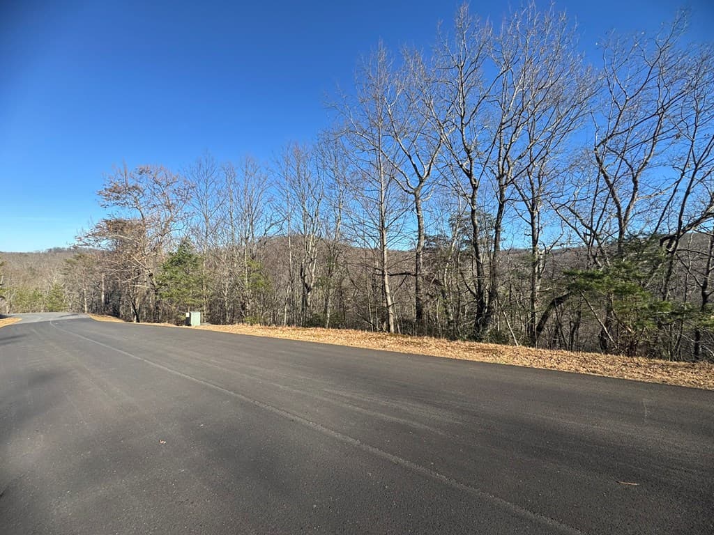 Lot 228 Andes Ridge, Ellijay GA 30540 - Photo