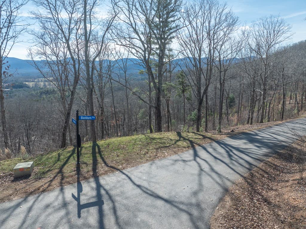 Lot 132 Highland Park, Blairsville GA 30512 - Photo