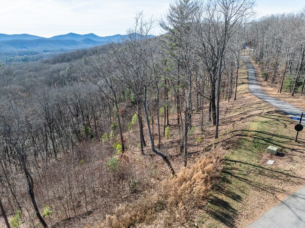Lot 132 Highland Park, Blairsville GA 30512 - Photo