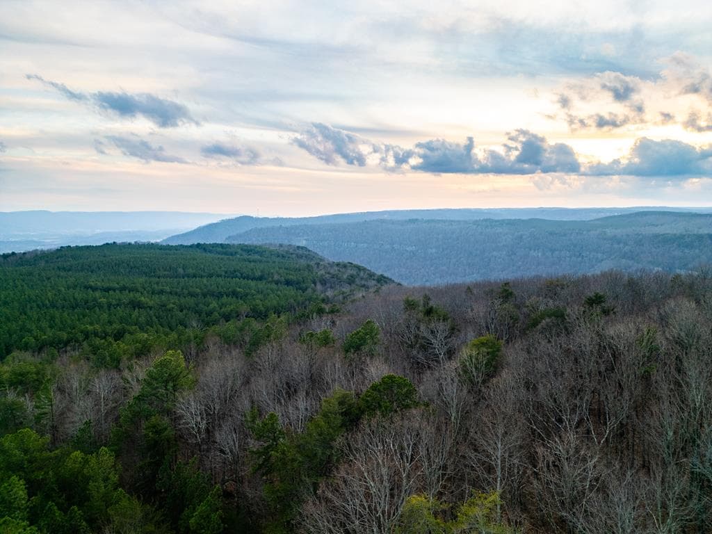 029003.0 Smith Mountain, Dunlap TN 37327 - Photo