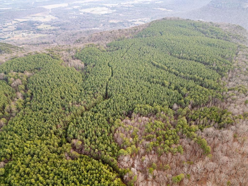 029003.0 Smith Mountain, Dunlap TN 37327 - Photo