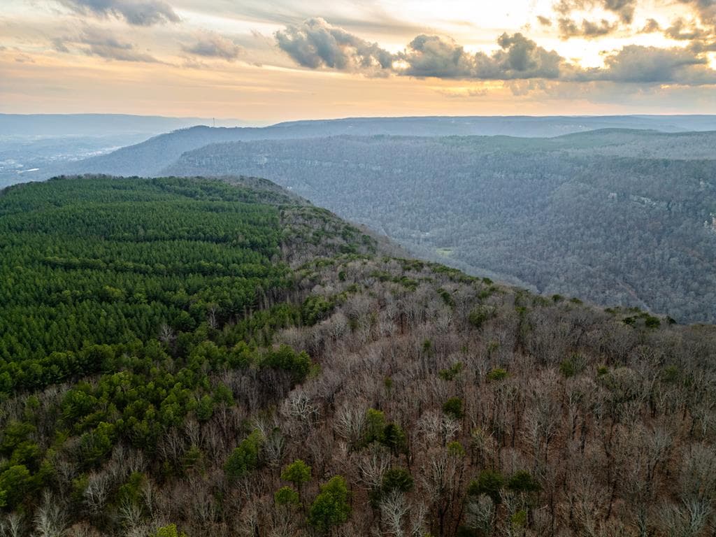 029003.0 Smith Mountain, Dunlap TN 37327 - Photo