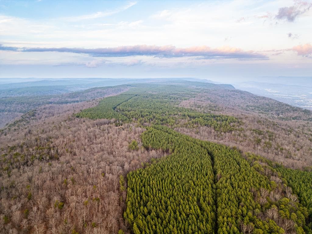029003.0 Smith Mountain, Dunlap TN 37327 - Photo