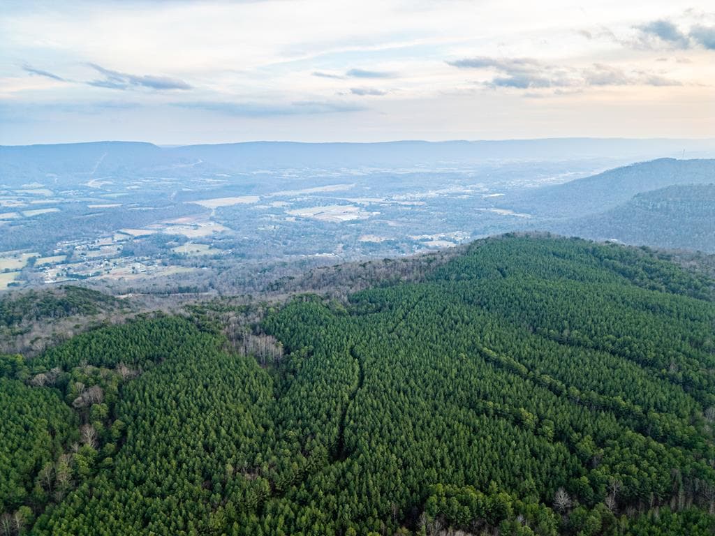 029003.0 Smith Mountain, Dunlap TN 37327 - Photo