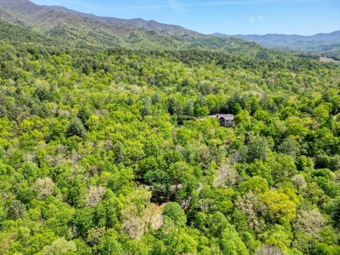 175 Broadtree Branch Drive, Hayesville NC 28904 - Photo