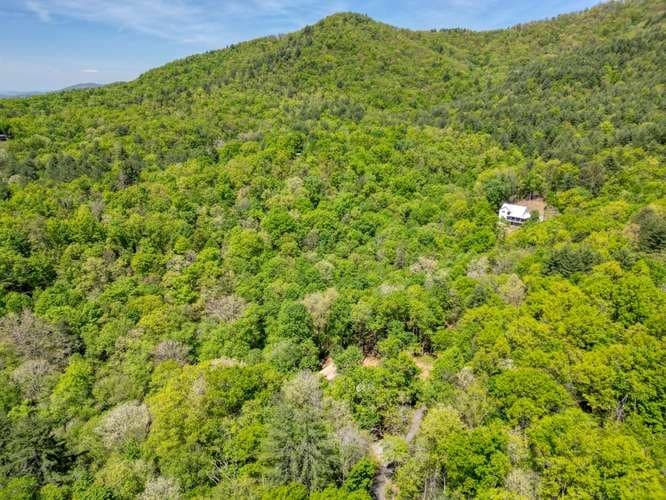 175 Broadtree Branch Drive, Hayesville NC 28904 - Photo