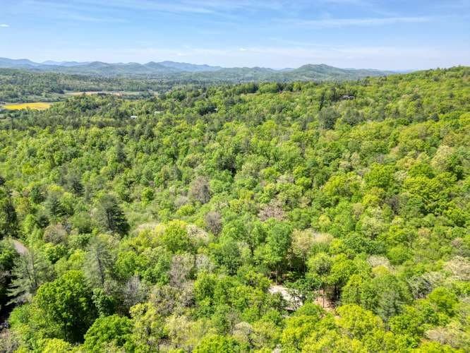 175 Broadtree Branch Drive, Hayesville NC 28904 - Photo