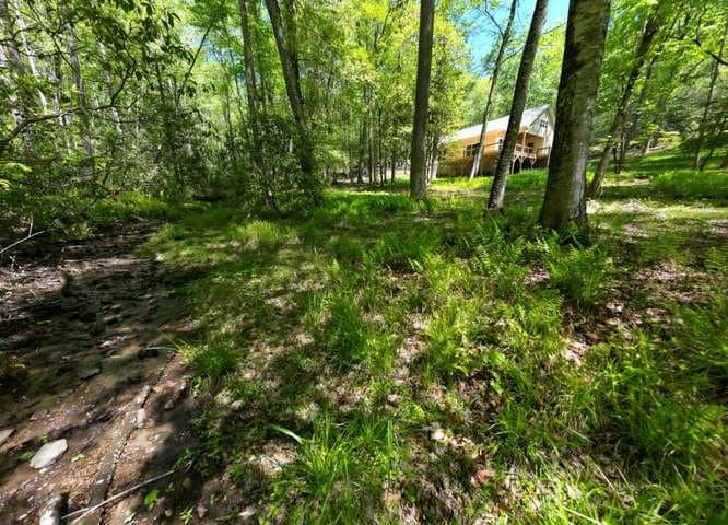 175 Broadtree Branch Drive, Hayesville NC 28904 - Photo
