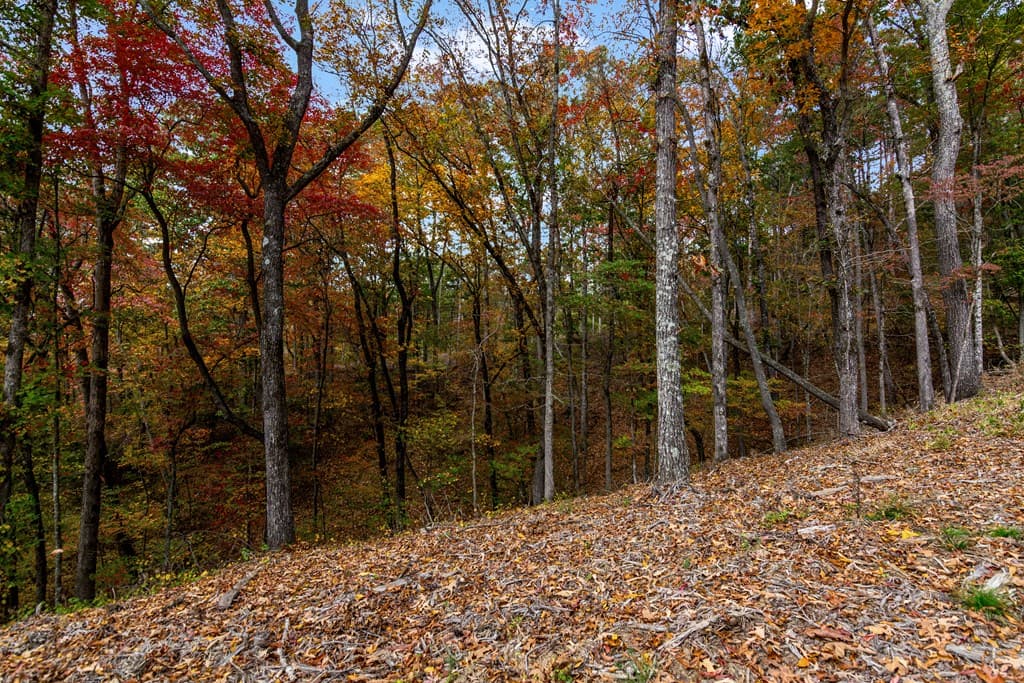 Lot 269 Canoe Way, Talking Rock GA 30175 - Photo