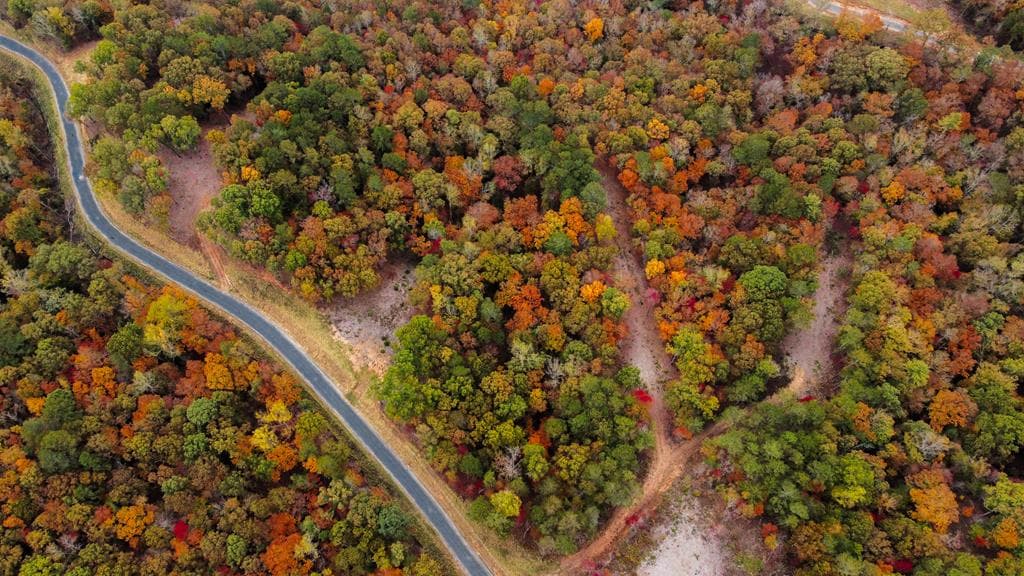 Lot 269 Canoe Way, Talking Rock GA 30175 - Photo