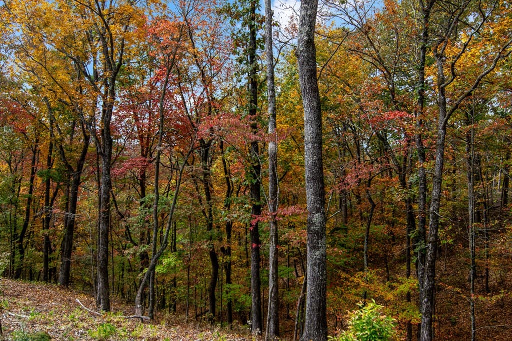 Lot 269 Canoe Way, Talking Rock GA 30175 - Photo