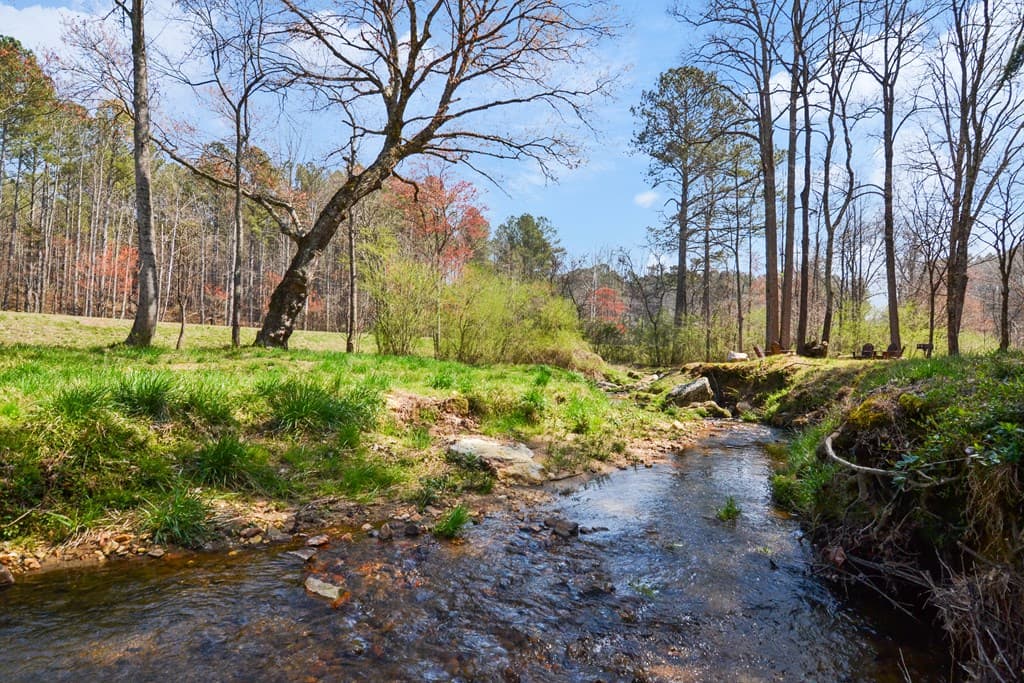 Lot 269 Canoe Way, Talking Rock GA 30175 - Photo