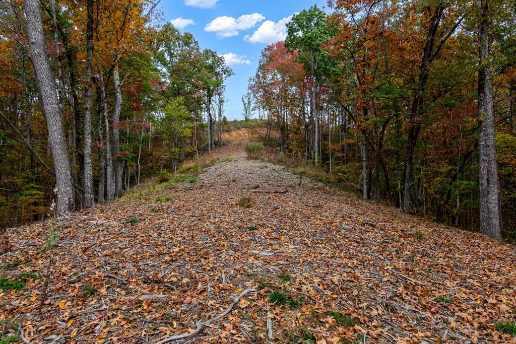 Lot 269 Canoe Way, Talking Rock GA 30175 - Photo