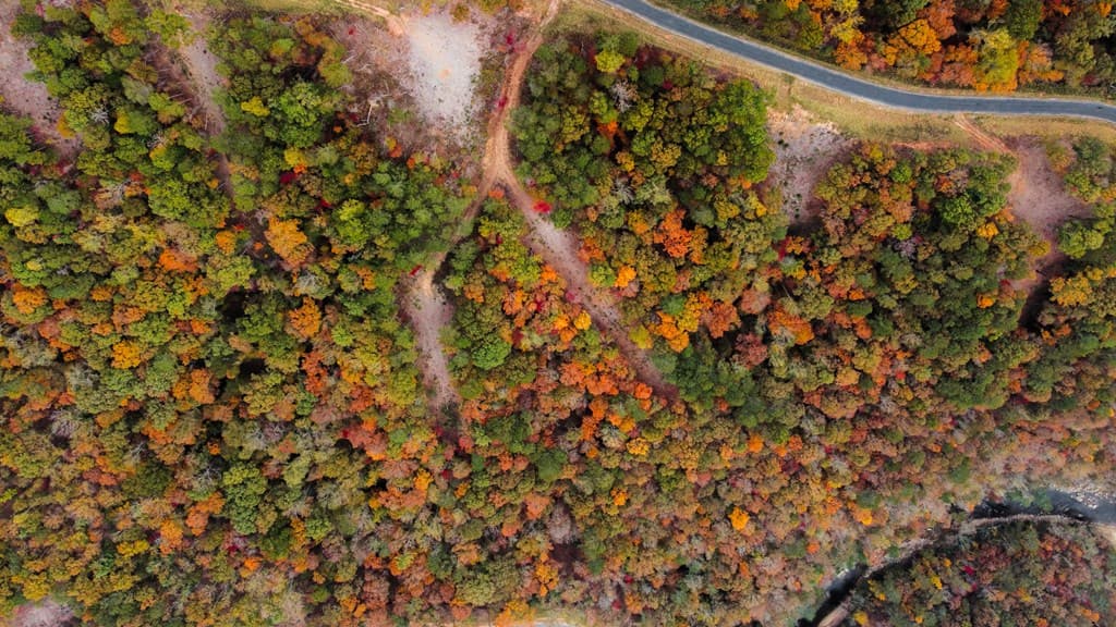 Lot 269 Canoe Way, Talking Rock GA 30175 - Photo