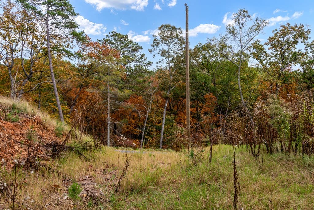 Lot 269 Canoe Way, Talking Rock GA 30175 - Photo