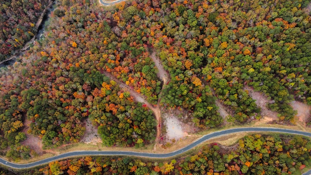 Lot 269 Canoe Way, Talking Rock GA 30175 - Photo