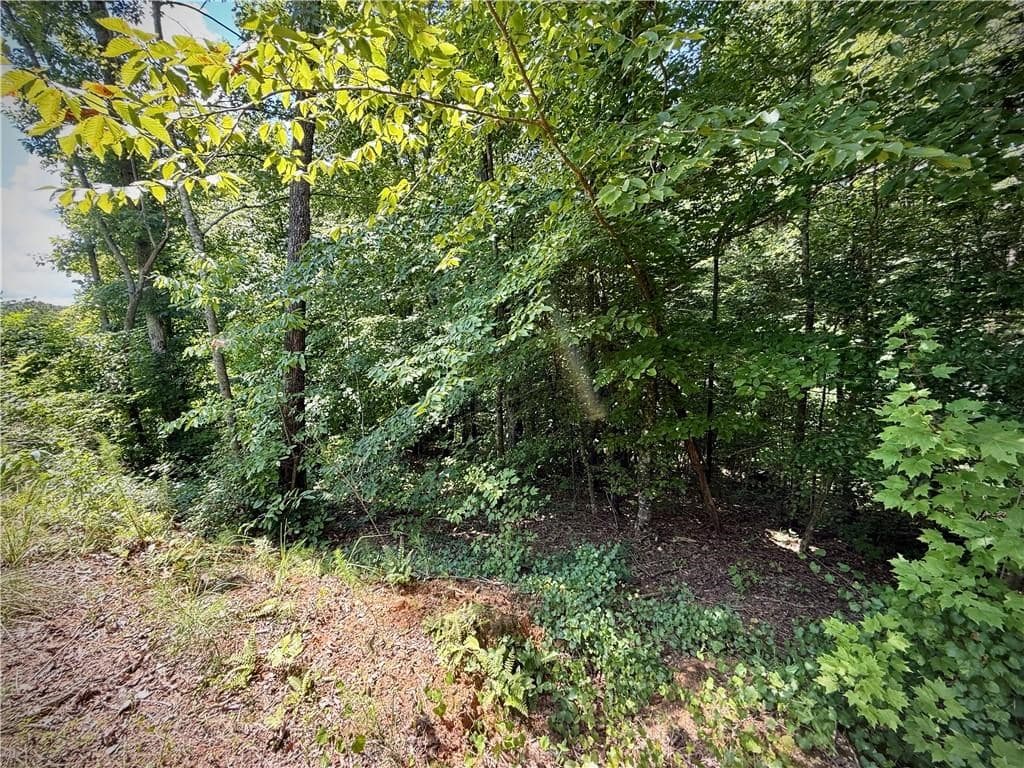 79 River Overlook Lane S, Ellijay GA 30540 - Photo