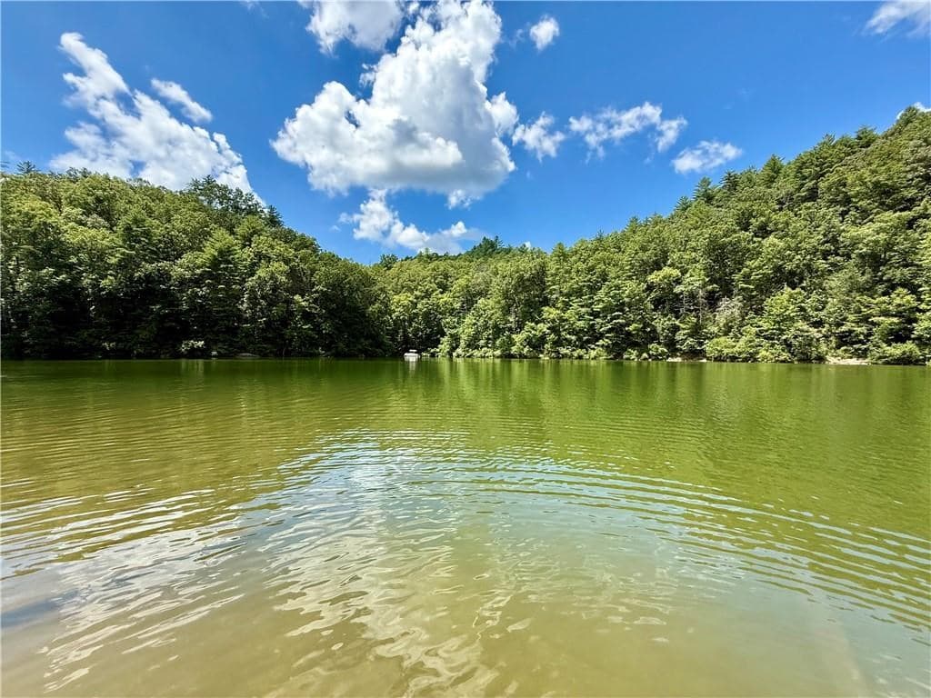 79 River Overlook Lane S, Ellijay GA 30540 - Photo