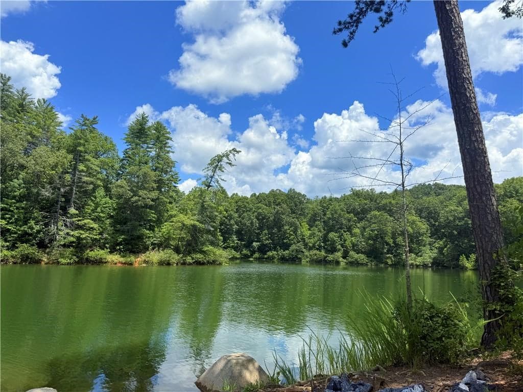 79 River Overlook Lane S, Ellijay GA 30540 - Photo