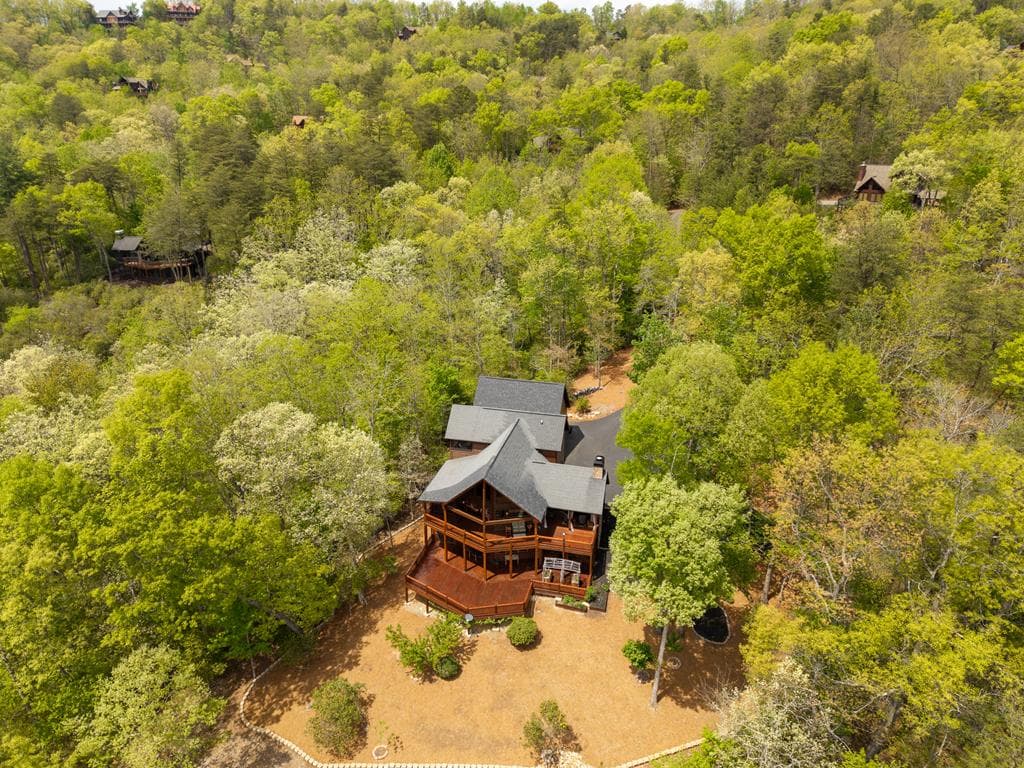 339 Birdseye View, Blue Ridge GA 30513 - Photo