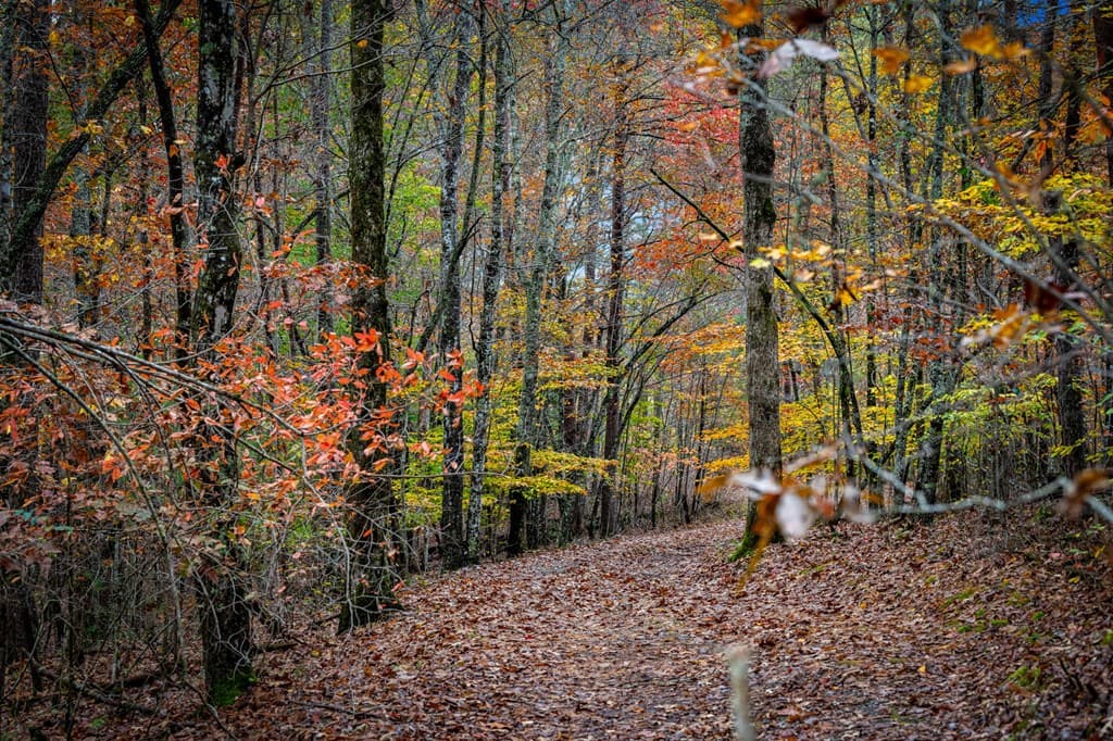 1580 Galloway Road, Blue Ridge GA 30513 - Photo