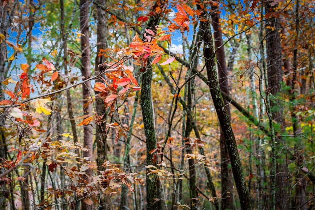 1580 Galloway Road, Blue Ridge GA 30513 - Photo