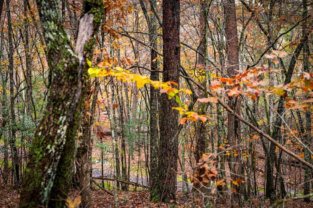 1580 Galloway Road, Blue Ridge GA 30513 - Photo