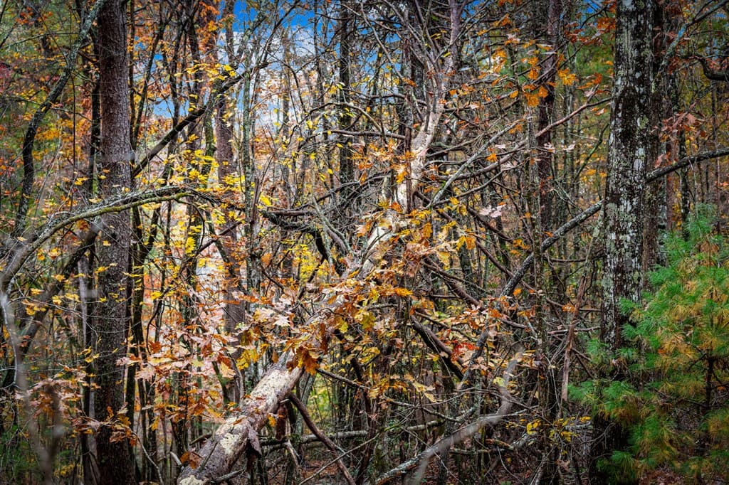 1580 Galloway Road, Blue Ridge GA 30513 - Photo